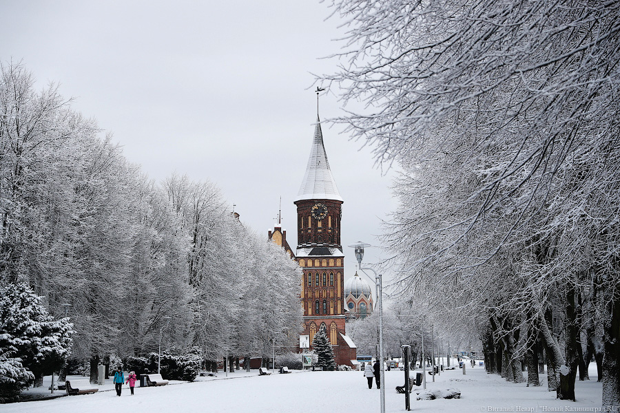 Кафедральный собор потерял около 20 млн рублей за время карантина