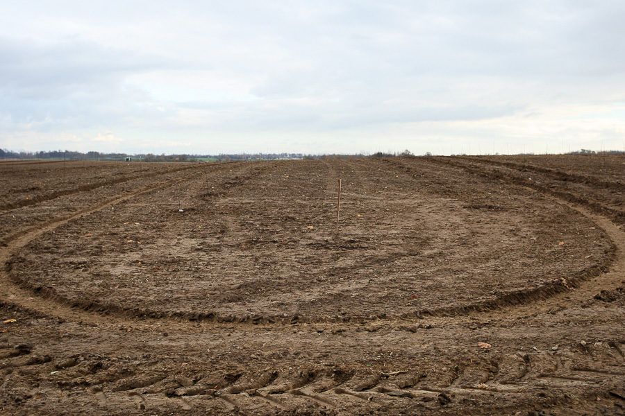 В Калининградской области копатели нашли в поле три бочки с немецкой посудой (фото) (видео)