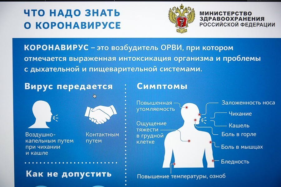 Эпидемиолог-вирусолог: пандемия коронавируса продлится не менее полугода