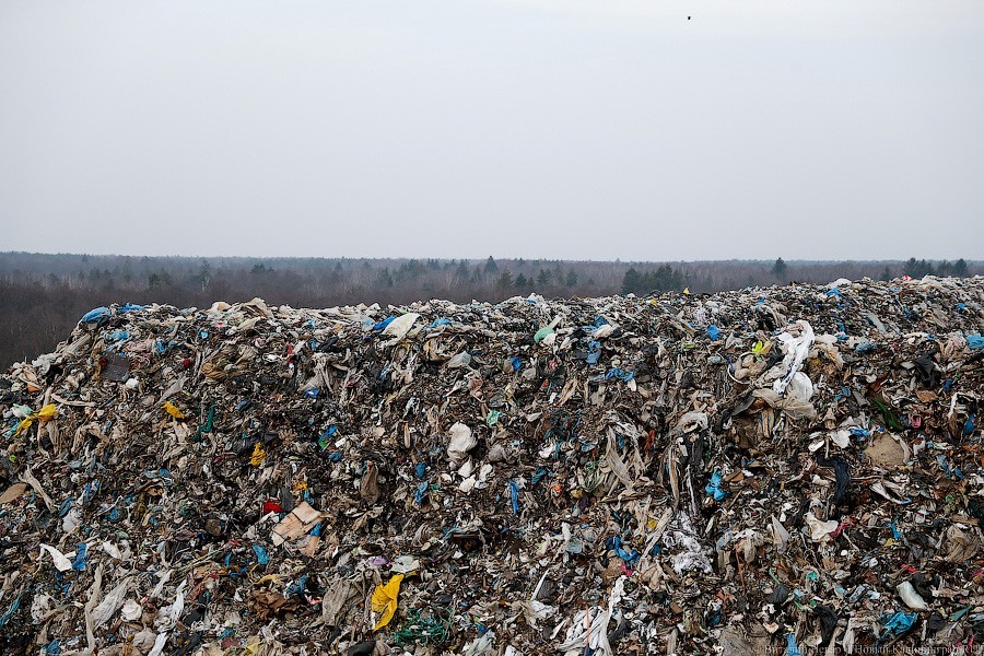 Алиханов о незаконной свалке в Черняховске: бенефициаром может быть один из депутатов