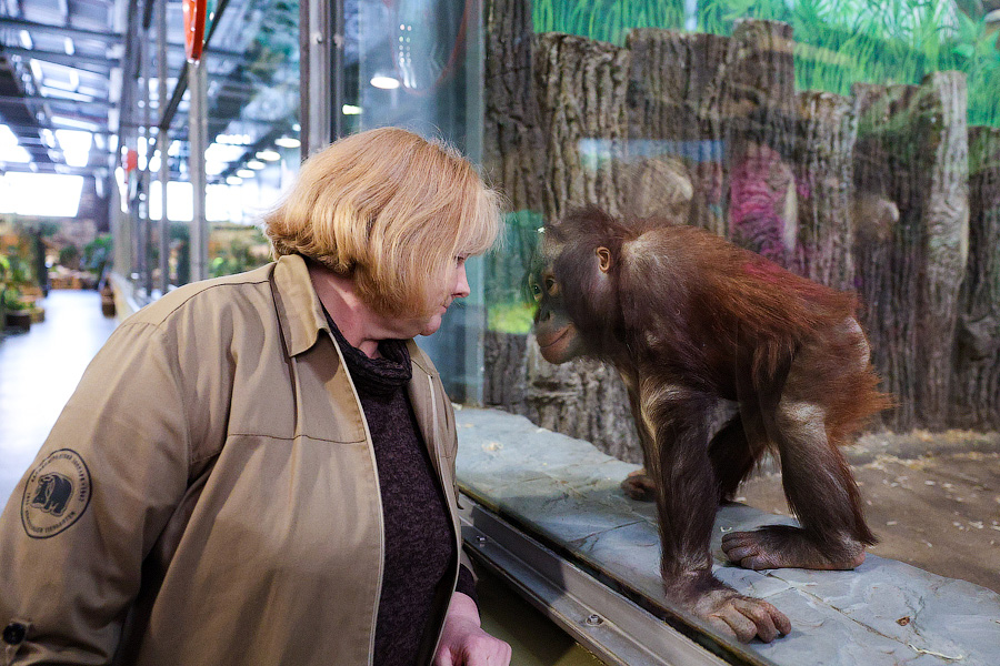 Подарки моряков, молочные ванны для енотов и брандспойты для медведей: каким был зоопарк 90-х