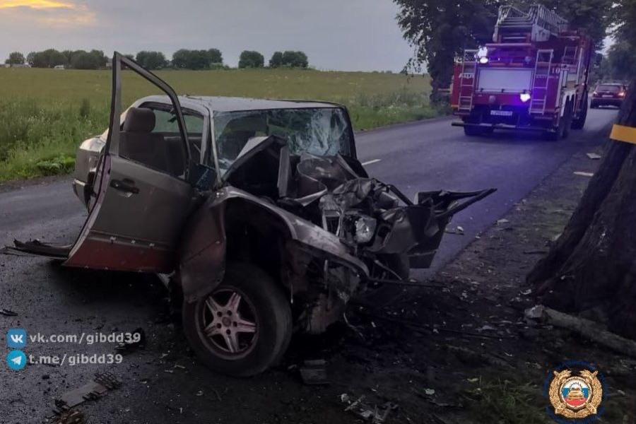 Под Балтийском автомобиль врезался в дерево, погибла пассажирка (фото)