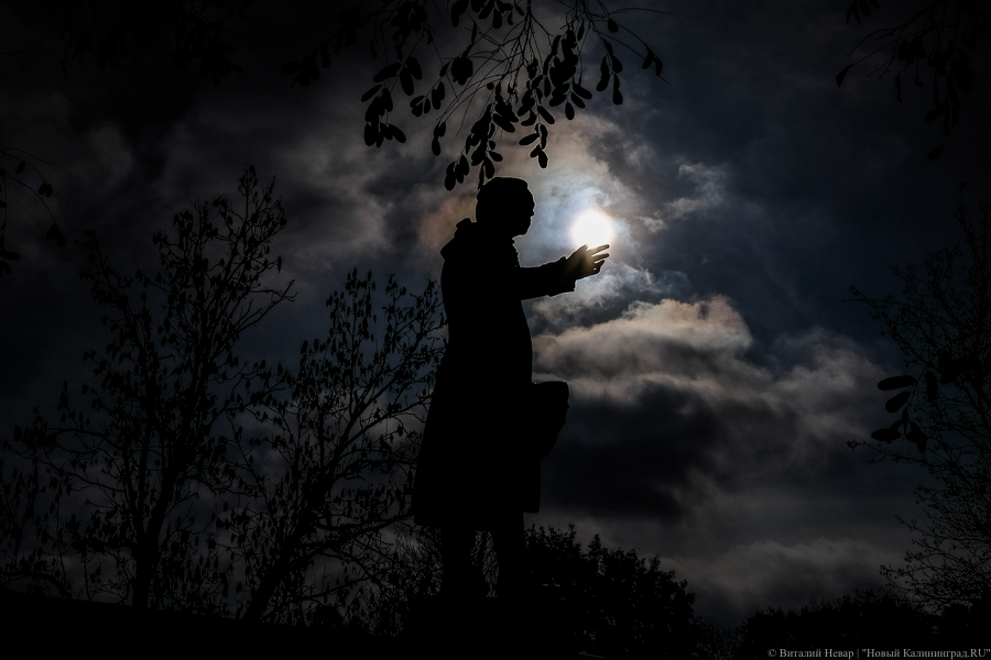 Блог Невского и присяга Канта: кто из калининградцев выиграл президентские гранты