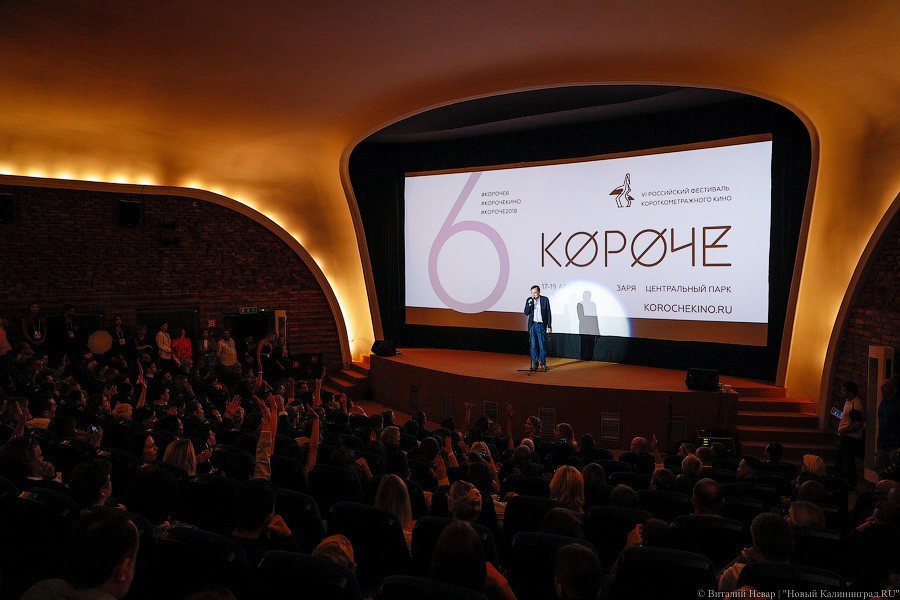 Фильм «Твою мать!» получил главный приз фестиваля «Короче»