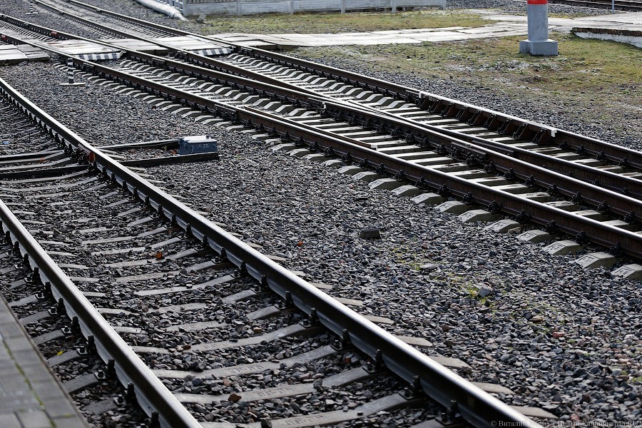 Железная дорога осуществляет всего четверть междугородних перевозок в области