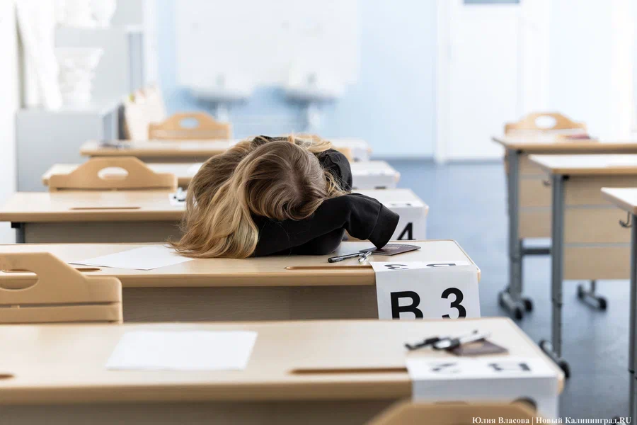 СМИ: в России в 2027-м введут устный экзамен по истории для девятиклассников