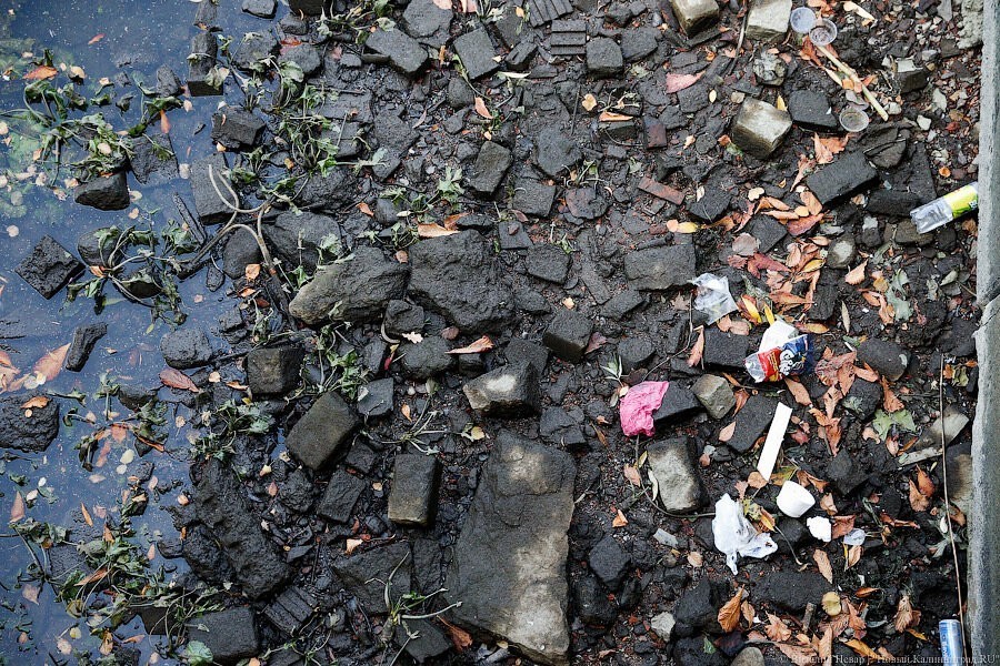 В поселке под Славском на берегу озера образовалась свалка