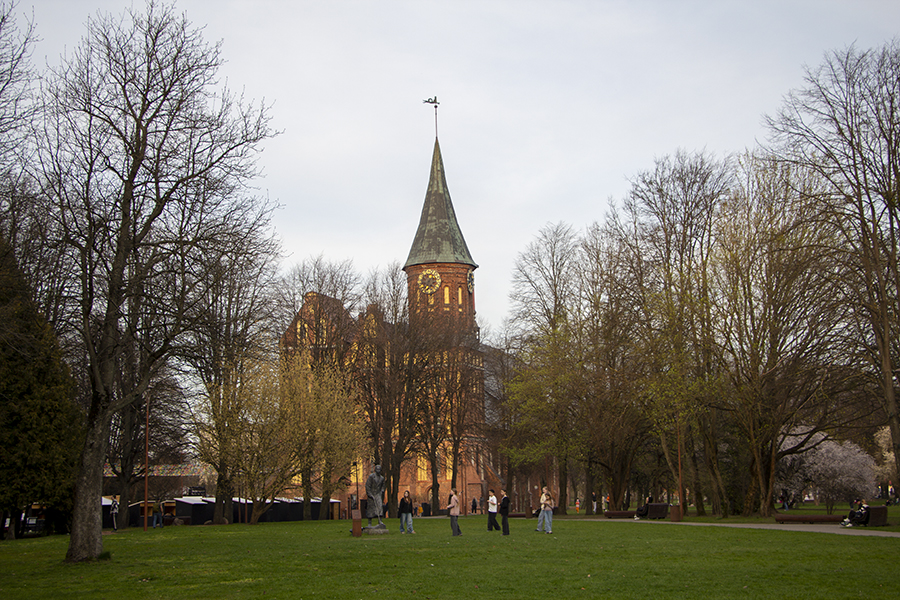 Опрос о социальном самочувствии населения области вновь доверили «КМ-Группе»