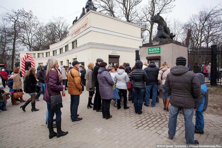 25 января все Татьяны смогут пройти в зоопарк бесплатно