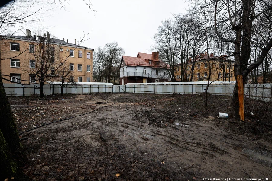 У скандального дома на проспекте Победы разрешили вырубить деревья (фото)