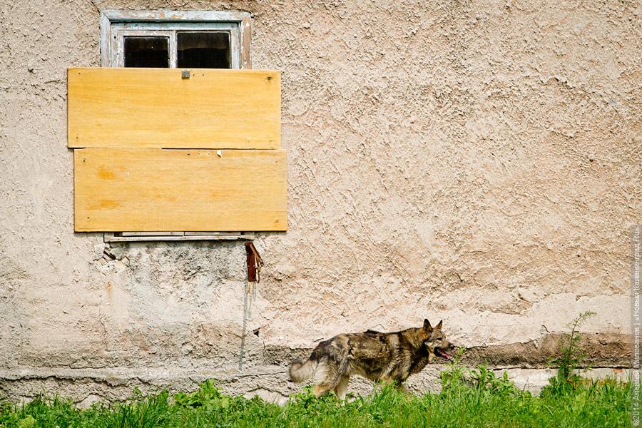 «Бедные собственники»: как правительство планирует расселять аварийные дома
