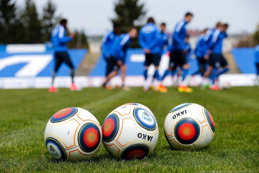 В «Балтику» переходит футболист, чей гол принес сборной России бронзу Евро-2008