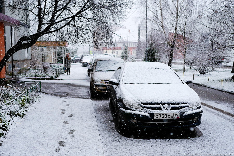 В выходные в Калининградской области обещают снег и ночные заморозки