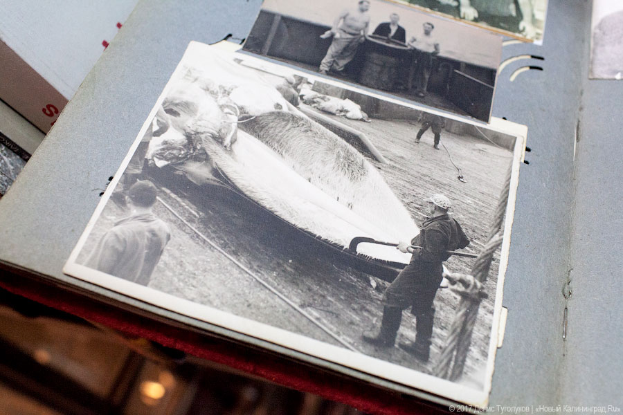 Во дворе областной библиотеки разрешили построить Музей советского периода