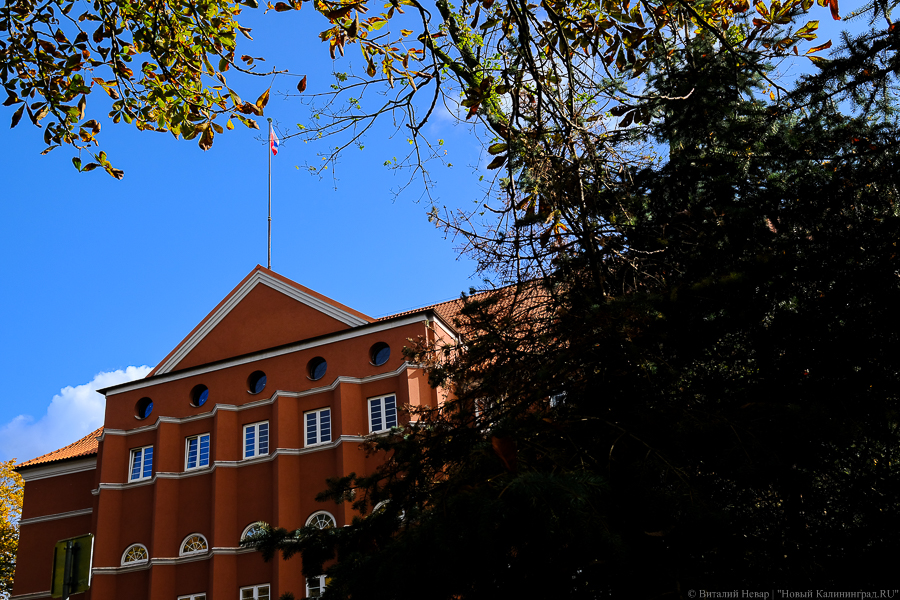 Власти Калининградской области решили поддержать бизнес займами и мораторием на проверки 