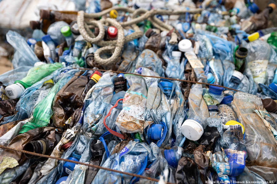 Лавриненко: собранный через раздельный сбор ПЭТ не перерабатывается, а идёт на склад