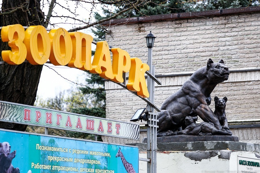 Калининградский зоопарк объявил о переходе на летний режим работы