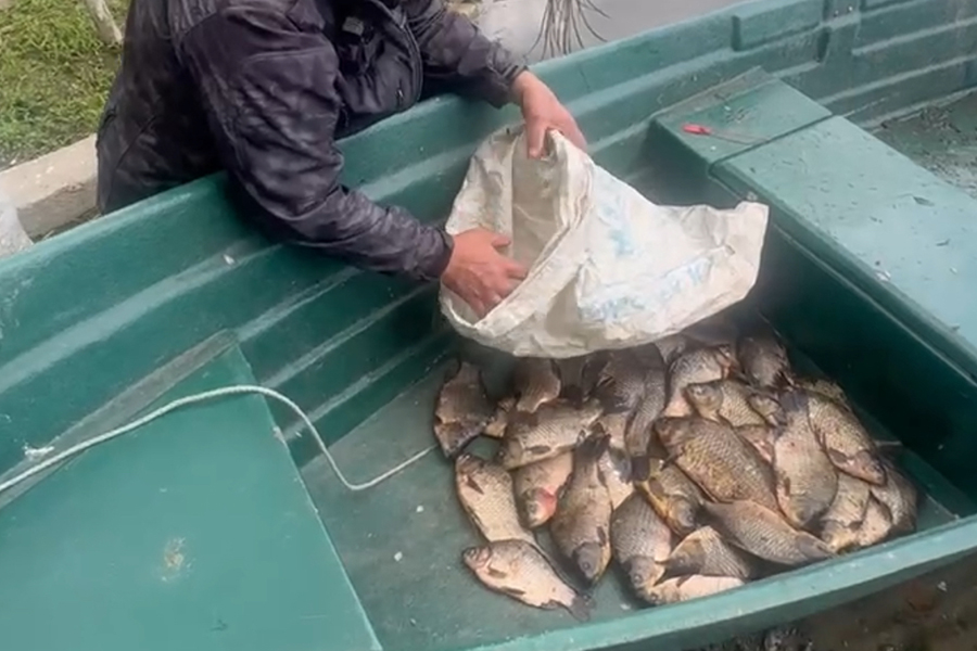 Браконьеру, ловившему рыбу в Преголе в период нереста, грозит до 2 лет тюрьмы (фото)