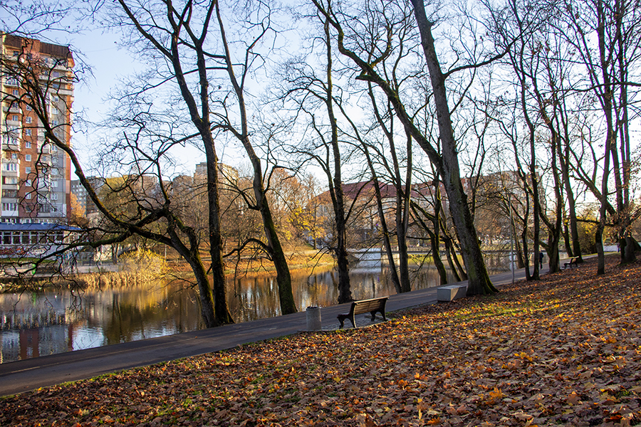 До −5℃ и «заряды осадков различных фаз»: прогноз погоды в Калининграде на неделю