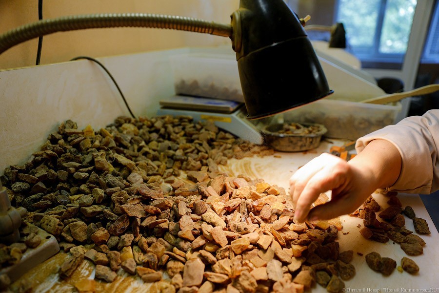 На Куршской косе таможенники задержали россиянина с янтарем в носке