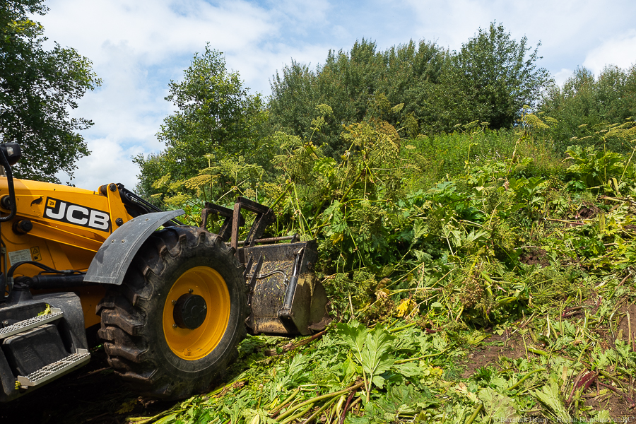 УМВД: под Полесском сельчанин угнал «Гольф» и трактор, чтобы научиться водить