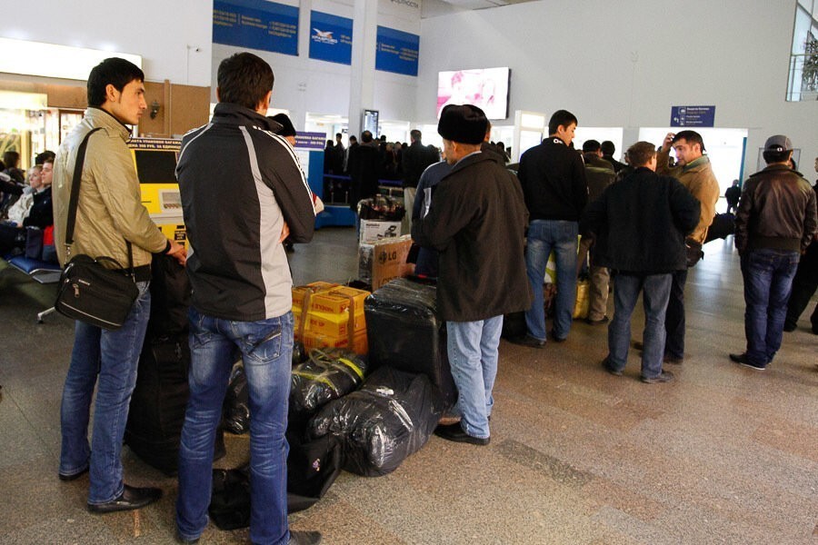 Никитин: много жалоб от депортируемых иностранцев, которые создали в регионе семьи