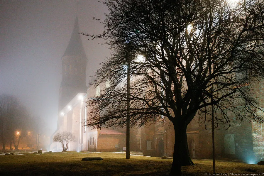 Погода в Калининграде 23 января