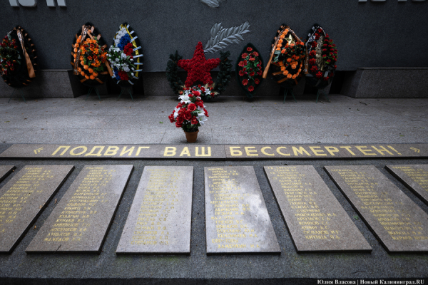 Новости Калининграда: минус Совет, деавтомобилизация и приватизация