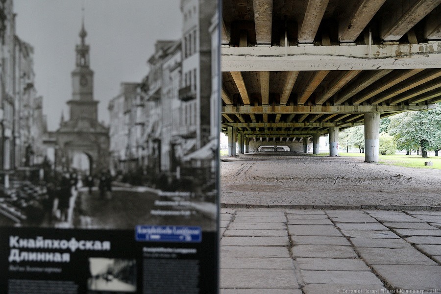 Прогулки по Кнайпхофу: о чём рассказывают новые стенды на острове Канта