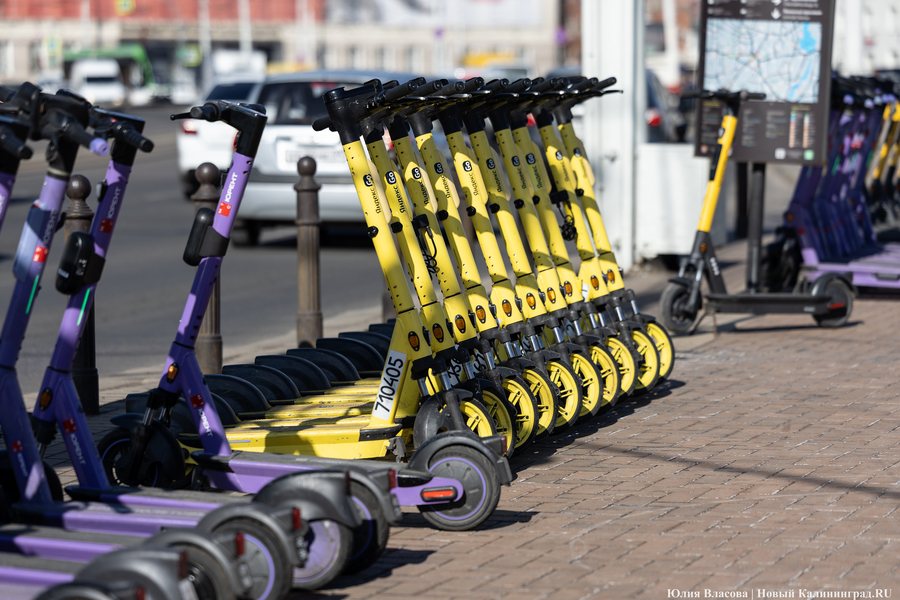Кнут и пряник для кикшеринга: как Калининград уживается с электросамокатами