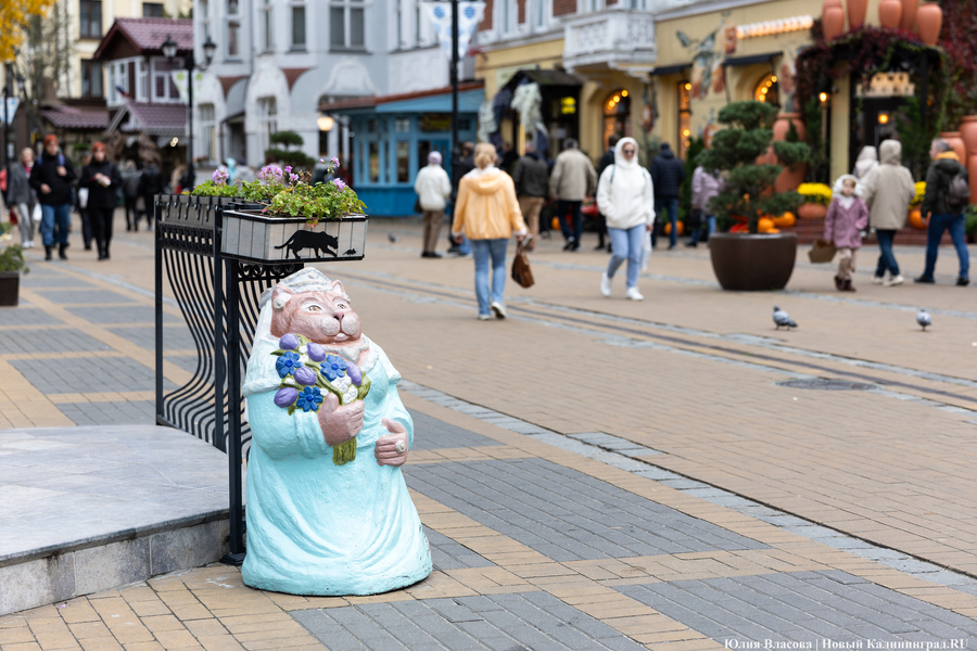 Проект отеля по улице Железнодорожной в Зеленоградске прошёл экспертизу