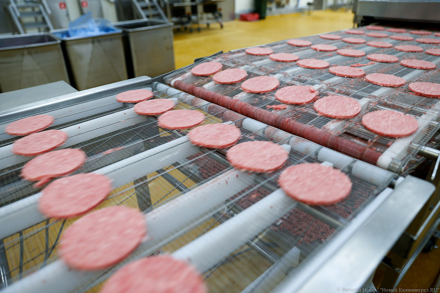 Эксперты: оборудование пищевой и перерабатывающей промышленности РФ изношено на 59%