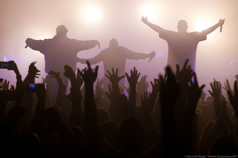 Мы наваливаем бас: как прошел первый концерт группы «Грибы» в Калининграде