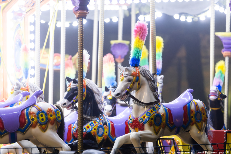 Горвласти продлили срок аренды парка «Юность» в Калининграде до 2035 года