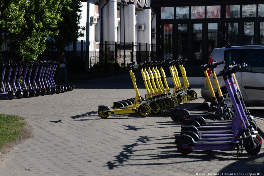 В Совфеде предложили ввести транспортный налог на самокаты юрлиц