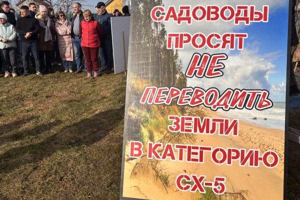 «Битва за сотки у моря»: почему садоводы выступили против новых Правил застройки
