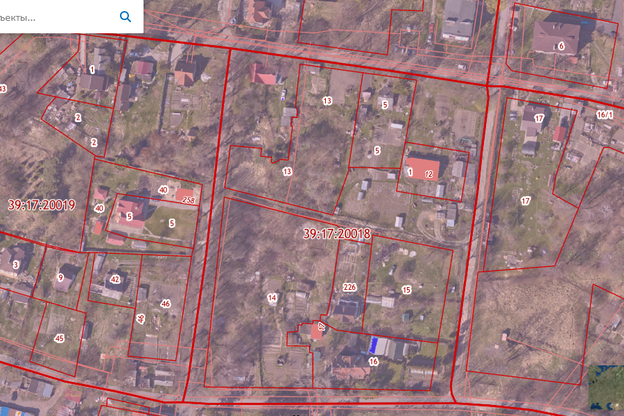 В Отрадном разрешили вырубить 157 деревьев для строительства жилых домов