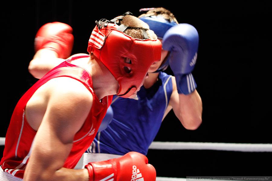 Калининградцы выиграли 5 медалей чемпионата и первенства округа по боксу