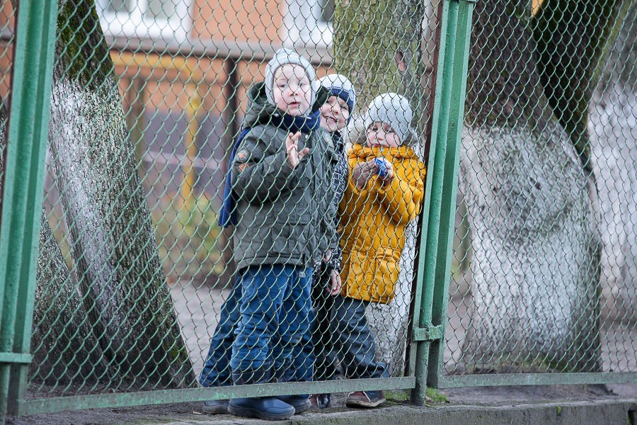 В Калининграде увеличили «премию» семьям, родившим тройню (дополнено)