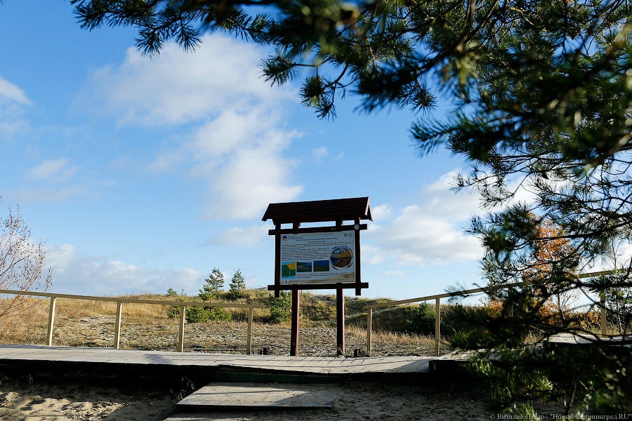 На Куршской косе готовится к открытию новый маршрут к озеру Лебедь