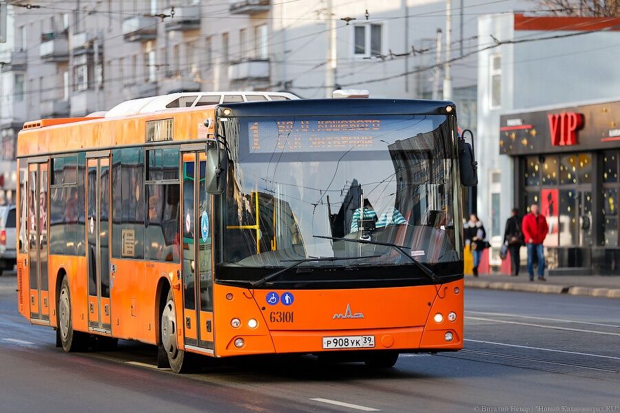 Алиханов предложил ввести льготы на проезд по Калининграду для школьников из соседних муниципалитетов