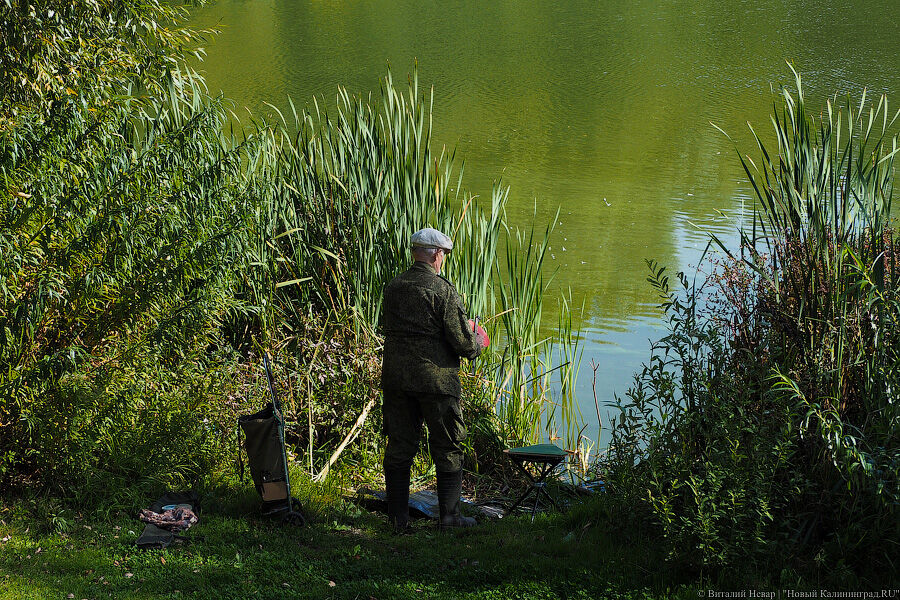 «Планов на расчистку нет»: калининградские рыбаки пожаловались на заиливание реки Прохладной
