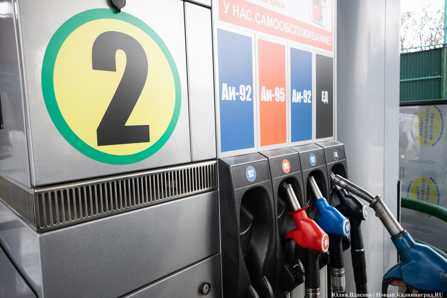 Насколько выгодна «Янтарная выгода»: «Новый Калининград» изучил цены на АЗС