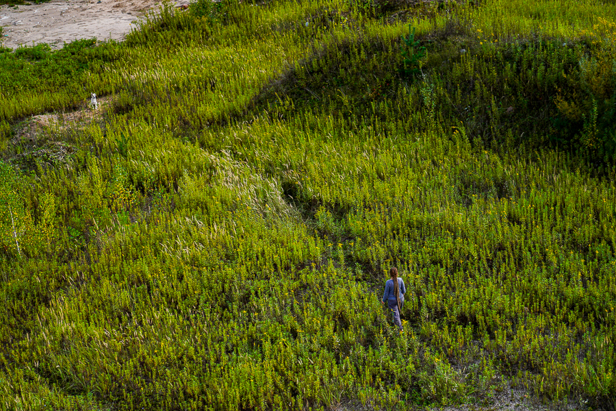 Суд обязал власти Светлогорска проложить дорогу к участку, выданному многодетной семье