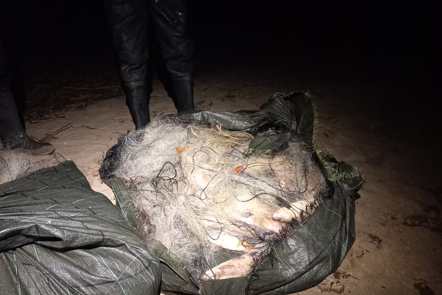 В Полесском районе задержали браконьеров, «нарыбачивших» почти на полмиллиона (фото)
