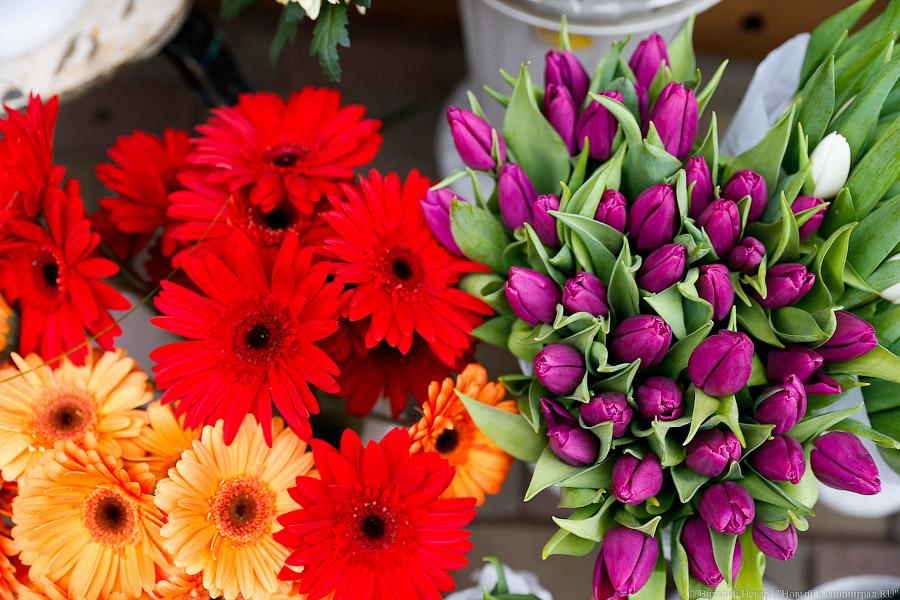 В Роспотребнадзоре рассказали, какие лучше цветы дарить на 8 Марта