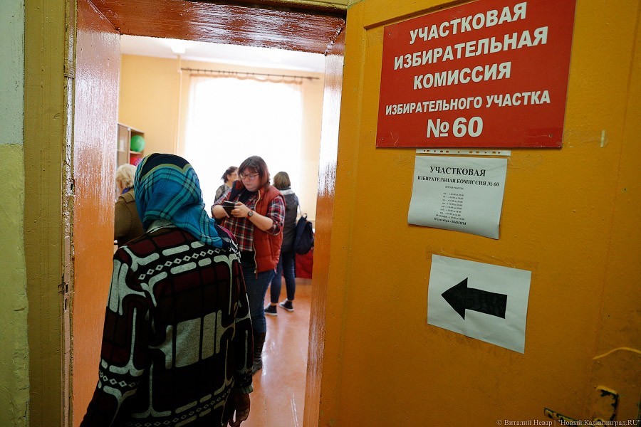 ЛДПР «на хвосте»: кто идет в депутаты в Светлогорске, Гусеве и Нестерове