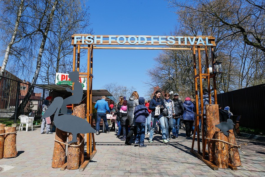 Стало известно, когда в Зеленоградске проведут Fish Food Festival 2019