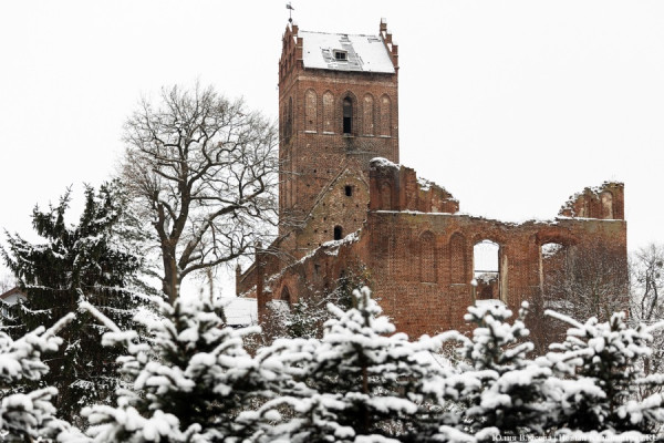 Уличный спектакль, квесты и танцы: как провести каникулы за пределами Калининграда