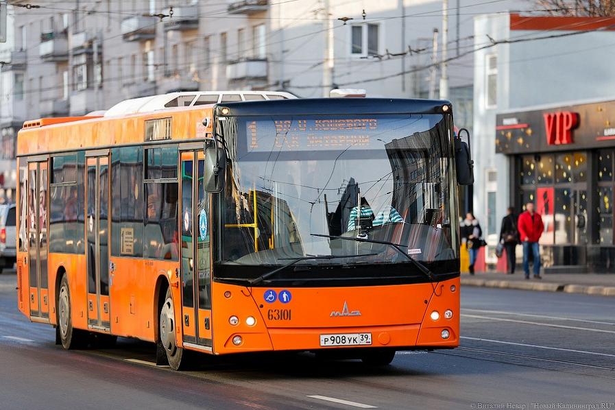 «Воровать просто прекращайте»: облвласти обвинили «КалининградГорТранс» в коррупции